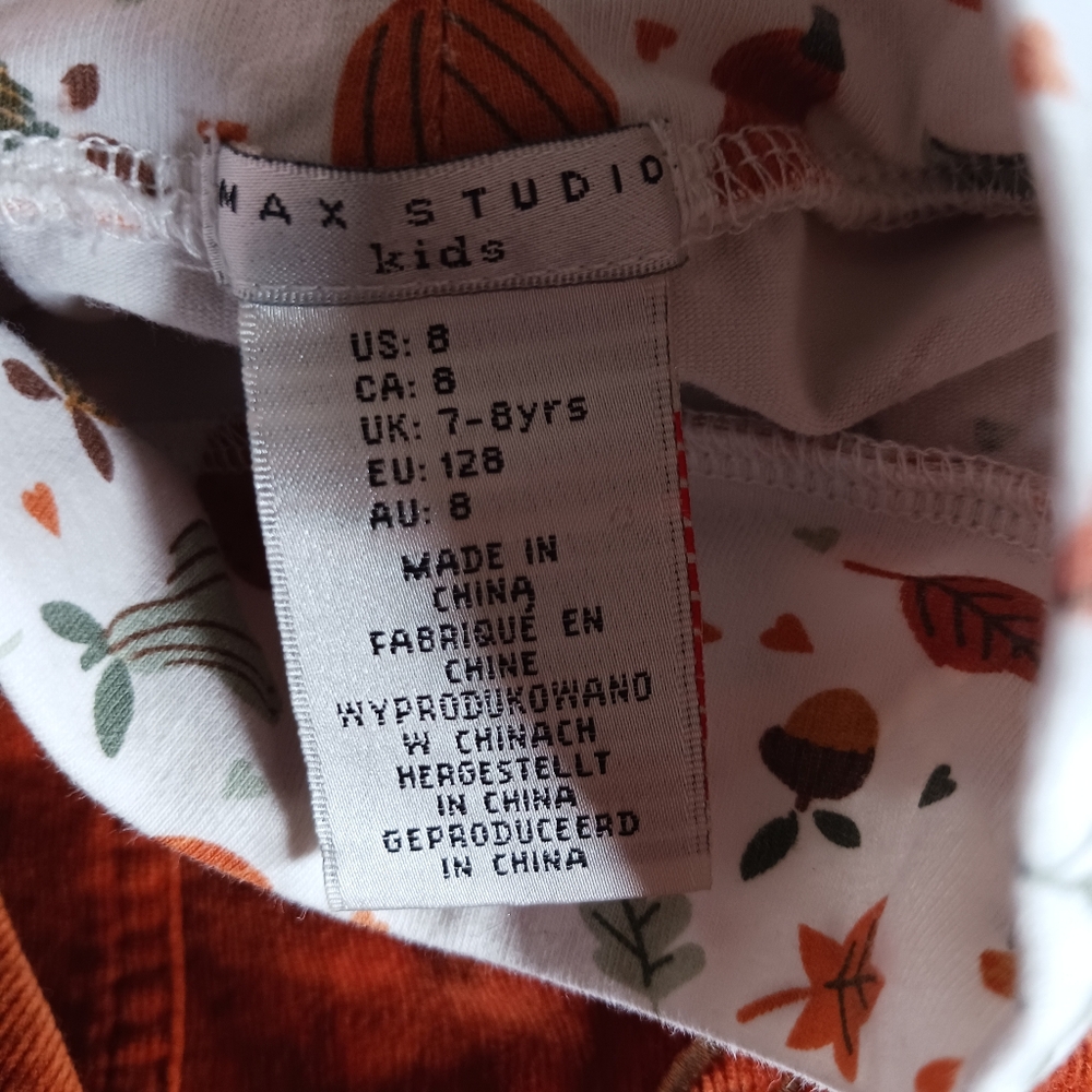 Pumpkin dress 🎃 🍁🍂 - Picture 4 of 4
